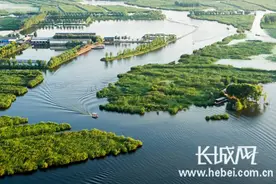 网传“白洋淀景区乱收费” 是真的吗？图片