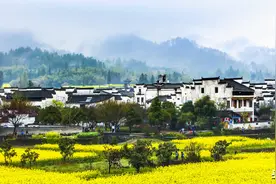 2021年农村“6拆2通”全面施行，村村都涉及？图片