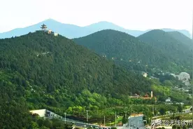 徐州市教育局：突出问题导向、深化教育改革，推动营商环境持续改善优化图片