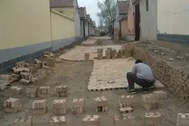 德州平原县坊子乡：“户户通”铺造村民出行的“康庄大道”图片