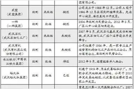 英雄的城市武汉，在武钢被兼并后，那些其它武字头企业现在如何了图片
