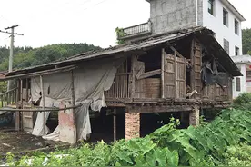 农民夏季养羊，有2种降温的措施，效果不错图片