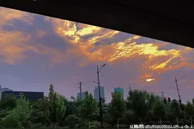 一切的一切，就是为了那碎银几两图片