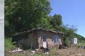 20多条大蛇，女子与蛇同居十五年，从未被咬过，人蛇真能共处？图片