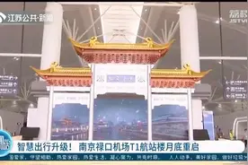 南京禄口机场T1航站楼月底重启 进门就是“天下文枢”牌坊图片
