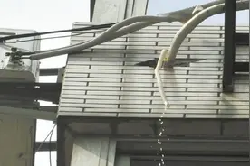 夏天空调流出来的水是什么水，这些水能拿来直接使用吗？图片