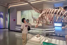 内蒙古自然博物馆恢复开放啦！每天限定1000人图片