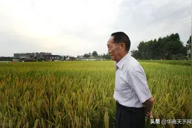 神仙归去，天地相感！珍惜碗里的粮食，就是对袁老最好的纪念图片
