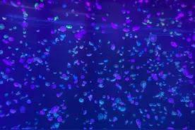 五一小长假带孩子放松一下图片