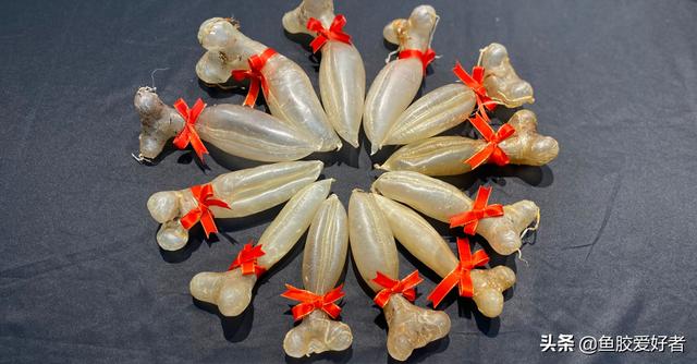 很厚的花胶 2026年很厚的花胶布