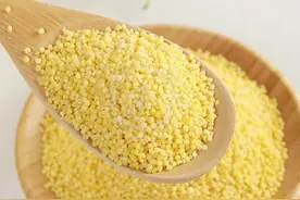 煮小米粥，不能洗干净直接煮，多做这几步，小米更浓稠，味道才香图片