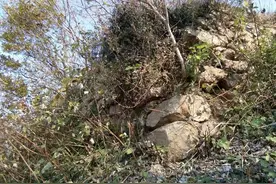 农村老话：“老坟开裂现凶兆，小缝填土大缝造”，说的是啥意思？图片
