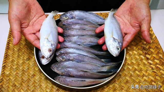 黄花鱼的区别 2026年野生黄花鱼和养殖黄花鱼的区别