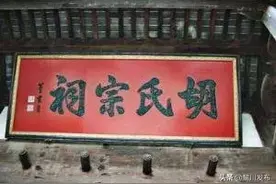 胡氏血脉！图片