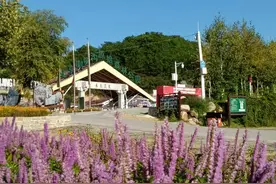 北京秋天来得最早的地方，第一波红叶已到货~图片