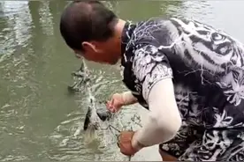 愤怒！放清道夫进入河道后，一网下去你才明白，自己有多无知图片