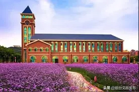 免费！太美！龙口新增网红打卡地，这个周末安排上！图片