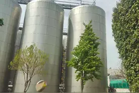 青岛啤酒屋暗号：老板，打两扎，再拿十个牌图片