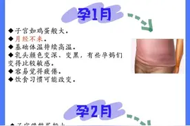 孕期干货，怀孕后每月身体变化图片