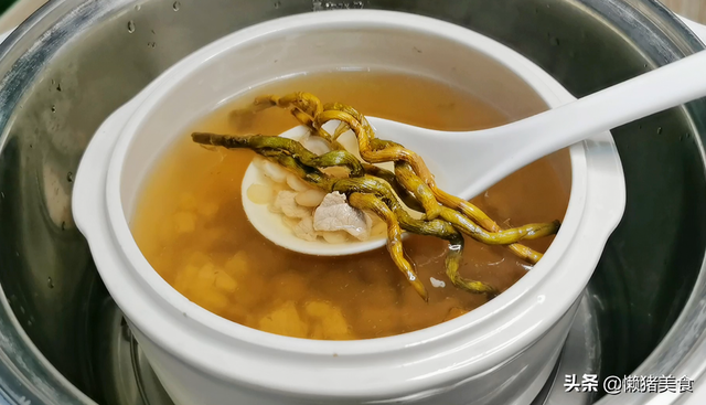 石斛花旗参麦冬花胶炖瘦肉功效与作用 2026年花旗参石斛麦冬煲瘦肉