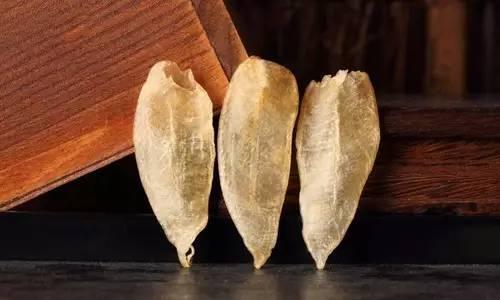 为什么花胶有沙粒 2026年为什么花胶有沙粒的味道