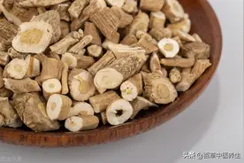 板蓝根——清热解毒，凉血利咽图片