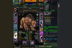 魔兽世界怀旧服丨当了一周多的熊熊的自我修养图片