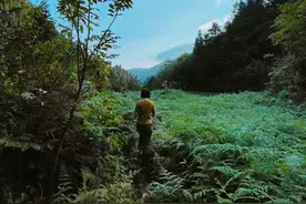 这些深藏在贵州深山布依族村寨生活中的好滋味，你都尝过哪些？图片