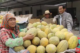 9斤不到20块！这就是在拼多多买的蜜瓜，一打开果然和想的一样图片