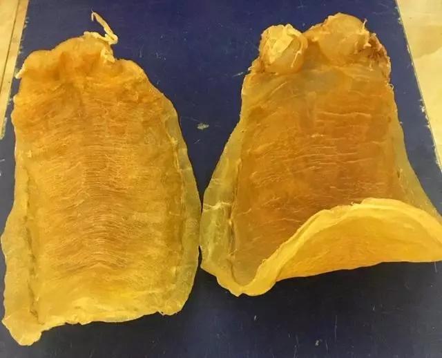 花胶 凝血 2026年花胶有止血作用吗