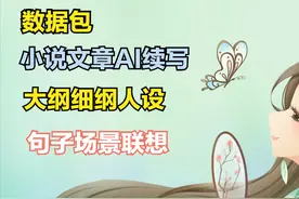 网文写作工具，星达码字软件，数据包的使用教程图片