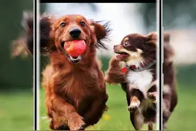 魅族18 Pro的“SMA光学防抖”究竟是什么？图片