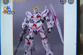 “高达”模型大变小，商家回复“玫瑰花”图片