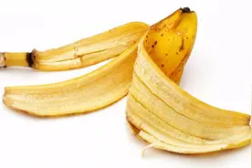 香蕉皮加它洗头，白发几天就变黑，用途太棒了，再也不用去染发了