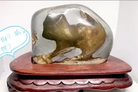 捡漏王淘到一块象形石，赏玩一下陶冶情操，大家觉得像什么？