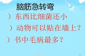 脑筋急转弯，什么东西比细菌还小，什么动物可以贴在墙上？视频封面