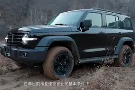 坦克300前后差速锁，2H切换4H和4L，（蠕行)越野巡航模式使用方法视频封面