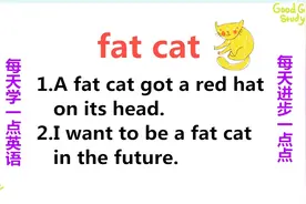 别人说你fat cat啥意思？别生气，不是说你胖！今天的英语告诉你