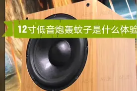 12寸喇叭轰蚊子。解气