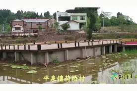 成都简阳贫困村，平泉荷桥村不一样的风景视频封面