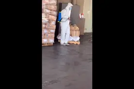 新冠期间冷冻食品是否安全-看完心里就有底了