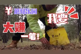 《骑电车行中国》第四十一天，阿尔山森林，遍地野生蘑菇，发财了视频封面