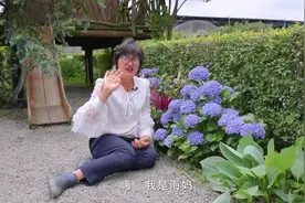 绣球里的磨人小妖精？看完让你爱不释手视频封面