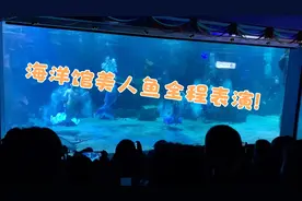 石家庄海悦天地地下海洋馆美人鱼完整表演！视频封面