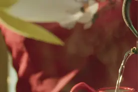 茶话连商第一期｜专访大连晓芹食品创始人王晓芹视频封面