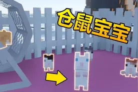 我的世界：如何喂养可爱的仓鼠！一不小心就可能会不见！