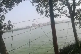 淘气猫南阳玩耍的好地方。