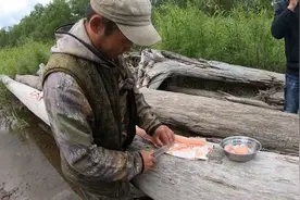 俄罗斯 小水沟里钓鱼、野性俄罗斯大叔怎么吃哲罗鲑