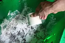 拿中药渣来沤肥竟然生蛆了，我用这种方法进行补救，绝对管用。