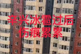 保定蠡县辛兴发生冰雹过后，鸡蛋大小冰雹，损失惨重！！！